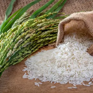 Arroz de jasmim por atacado arroz branco de grãos longos de alta qualidade