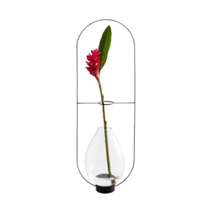 2025 nouveau Design hydroponique fleur Vase avec support en métal prix de gros luxe fer Vase plante mariage décor en vrac quantité prix - Product Image 1