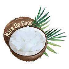Nata de COCO เหงื่อสดราคาไม่แพงมะพร้าวเจลลี่ขนาดเล็กบรรจุภัณฑ์ที่หลากหลาย - Product Image 3