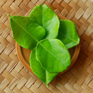 ใบมะกรูดไทยแบบพรีเมี่ยมใบมะกรูดแบบไทยแท้ - Product Image 6