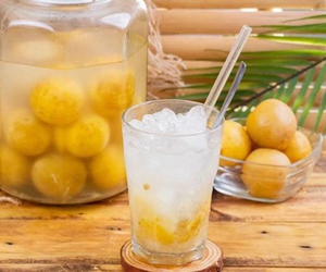 Venta superior Sabor a limón salado o limas encurtidas de alta calidad de Vietnam con buen precio - Product Image 2