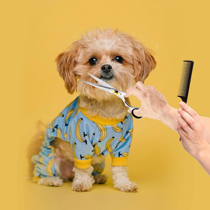 กรรไกรตัดผมสำหรับใช้ในบ้านและร้านเสริมสวยสแตนเลสสตีลพรีเมียม (สีเงิน) - Product Image 3