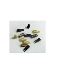 Pointes de corne de buffle de différentes tailles et rouleau de corne de buffle artisanal naturel pour manche de couteau et tampon pour meilleure vente