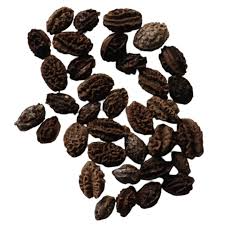 Graines de papaye séchées biologiques et naturelles Valeur Made in Vietnam pour les recettes familiales Produit agricole - Product Image 4