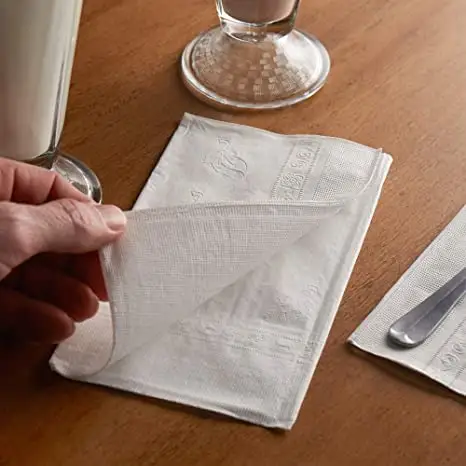 2 Ply Entertain Paper Napkins Dinner Size Classic White or Printed Napkins Bag Style