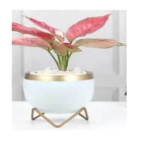 Pot de fleurs en métal pour la décoration de jardin ou de maison, nouveau design, finition émaillée, pots de fleurs uniques - Product Image 5