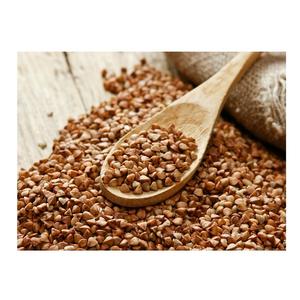 Wholesale Price Natural Organic <b>Buckwheat</b>/Roasted <b>Buckwheat</b> Kernels Bulk Stock Available For Sale - Product Image 3