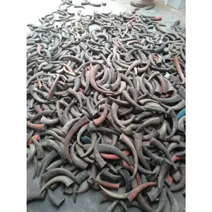 Cuerno de búfalo crudo rústico hecho a mano de alta calidad tallado de animales ecológico Material Natural único para productos hechos a mano - Product Image 2