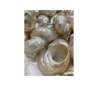 Fábrica de Vietnam hecho a mano Shell Martini gafas Copa cóctel tazas de cristal para fiesta boda decoración del hogar Mesa regalos artesanías - Product Image 3