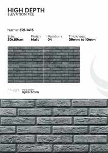 Carreaux de mur extérieur en porcelaine 300x600 mm Haute durabilité - Product Image 2