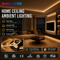 Bande LED COB flexible haute densité RAYMATES UL ETL 12V 8mm 10W, blanc, dimmable, pour éclairage sous armoire, miroir, décoration