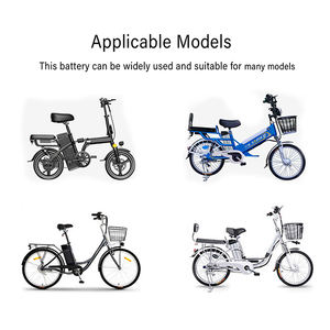 <span class=keywords><strong>Haiba</strong></span> personnalisé 36V 48V Batterie au lithium pour vélo électrique urbain longue distance Cargo Riding - Product Image 6