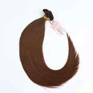 Extensions de cheveux précollées de qualité supérieure de luxe pointe Utip 22 pouces cheveux humains de couleur brune non traités lisses et soyeux