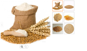 Lúa mì tốt nhất lớp toàn bộ hữu cơ mềm lúa mì hạt với số lượng lớn Số lượng/chất lượng hàng đầu lúa mì với 100% tinh khiết - Product Image 3