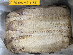 Rollo de calamar seco de Vietnam + 84 966 274 584, Loto Azul, material de calamar sin sal, secado a granel sin aditivos, Exportación al por mayor - Product Image 5