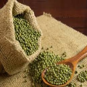 ถั่วเขียวสีเขียวควบคุมความชื้นเกรดทางการเกษตรสามารถส่งออกได้ในราคาฟาร์ม - Product Image 5