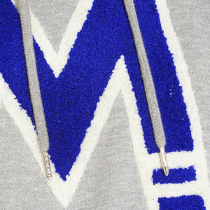 Sweat-shirt à capuche bleu à broderie en chenille, motif uni d'hiver, coupe ajustée, 2025 - Product Image 5