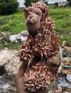 Stilbite minérale de zéolite de mordenite brune bel artisanat en pierre semi-précieuse d'Inde pour la collection de pierres précieuses Feng Shui - Product Image 1