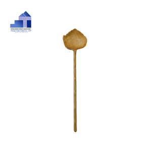 Ensembles de petites cuillères en bois Eco-Friwndly les plus vendus pour les outils de cuisine cuillère du fabricant vietnamien pour les grossistes - Product Image 2