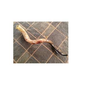 Shofar de Cuerno de Búfalo Hecho a Mano con Texturas Naturales, Duradero y Ecológico, Produce Tonos Potentes para la Adoración y Uso en la Cocina - Product Image 1