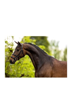 Nuevo Juego de Brida Occidental para Caballo, Fabricada en Cuero Genuino, con Cabezada de Cuero, Estilo Vaquero - Product Image 3