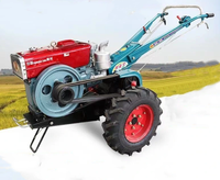 Offre Spéciale seule charrue Bcs complète 25hp agriculture derrière deux roues tracteur à main avec outils