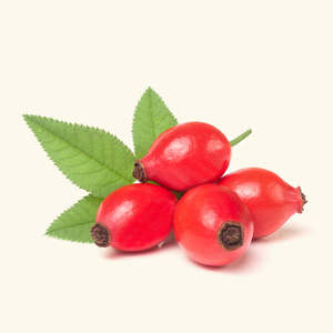 Huile de graines de rose musquée Huile essentielle pour cheveux pour des cheveux et un cuir chevelu sains - Product Image 1