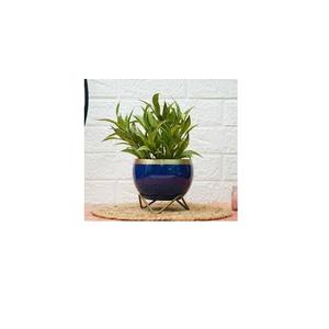 Macetas de metal dorado brillante hechas a mano, uso de macetas para exteriores e interiores para decoración de hogares y hoteles a bajo precio - Product Image 2