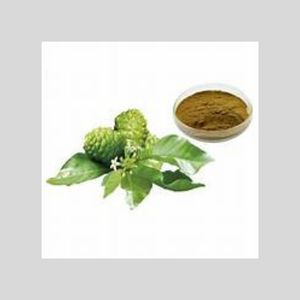 40% polvo de extracto de raíz de Morinda Citrifolia de alta resistencia Noni salud alimentos funcionales salvaje Popular en Japón embalaje de tambor - Product Image 1