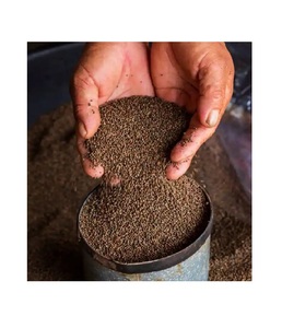 Approvisionnement en vrac 100% graines de périlla naturelles pures - Product Image 5