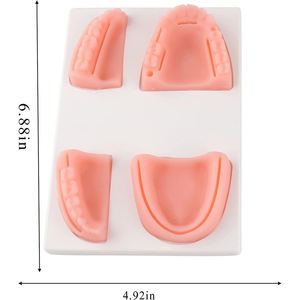 ชุดฝึกหัดทางการแพทย์สำหรับทันตกรรมสัตวแพทย์ชุดฝึกผ่าตัดเครื่องมือเย็บสำหรับการผ่าตัดสัตวแพทย์ - Product Image 4