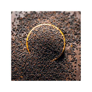 Prix réduit Graines de moutarde jaune-noir Qualité excellente Ingrédients naturels Service OEM/ODM pour les applications alimentaires commerciales - Product Image 6