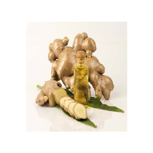 Huile de transporteur d'huile essentielle de gingembre de massage de haute pureté de vente chaude - Product Image 1