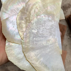 Nácar de Concha de Nácar de Vietnam con Acabado Liso, Desarrollado para Diseños de Incrustaciones de Joyería Artesanal de Lujo - Product Image 1