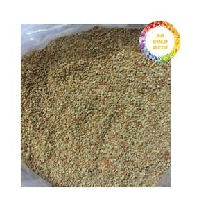 Grains de pollen d'abeille naturels du Vietnam récoltés à partir de champs frais ouverts offrant une grande saveur et une qualité constante - Product Image 1