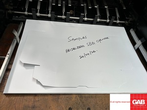 Cilindro Heidelberg SBG original - Totalmente reconstruido en 2010 por Senior Graphic Machinery - Máquina troqueladora - Product Image 5