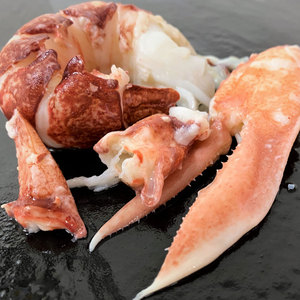 กุ้งก้ามกรามสด & แช่แข็งขายส่งกุ้งก้ามกรามแบบมีชีวิตกุ้งก้ามกรามบอสตันกุ้งก้ามกรามแคนาดาจัดส่งด่วนในชั่วข้ามคืน - Product Image 1