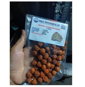 5 Mukhi Rudraksha Kantha Mala 54 + 1 Cuentas Panchmukhi naturales Tamaño de la cuenta-5 MM Hilo fuerte Energía Oración Meditación - Product Image 6