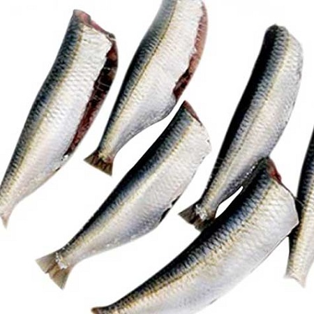 Замороженные сардины 80-100 замороженные морепродукты