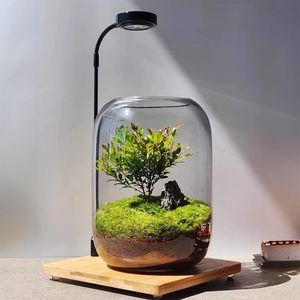 DIY Klares Glas-Pflanzenterrarium 16x22cm Sukkulenten-Luftpflanzenbehälter Farn-Mikrolandschaft-Vase Heim- und Büro-Terrarium-Gläser Großhandel - Product Image 1
