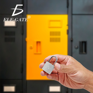 Lucchetto di Sicurezza in Ferro da 25mm con Gancio Corto per Sicurezza e Protezione - Product Image 5