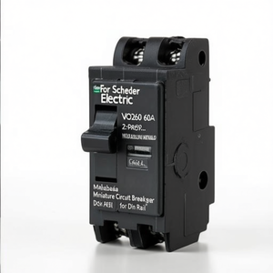Disjoncteur miniature bipolaire Schneider Electric QO260 60A pour rail DIN - Product Image 2