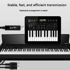 OEM ODM Cables de conexión Cinco pines 2M Batería electrónica Yamahas Medley Teclado Arreglista Usb a Midi Adaptador de cable para piano - Product Image 4