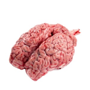 Suministro de fábrica al por mayor Cerebro de res Precio caliente - Product Image 2