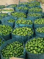 Citron vert frais de haute qualité en vrac, sans pépins, naturel, du Vietnam, 6 cm, 0,1 kg, durée de conservation de 12 mois
