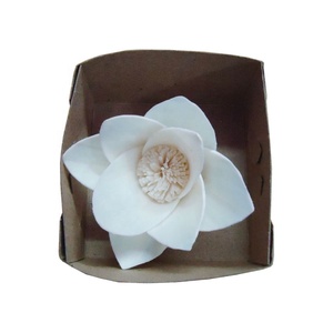 2026 Halloween Home Decor Natural Sola Wood <b>Flowers</b> New Products for Decorative <b>Dried</b> <b>Flowers</b> for Halloween Decoration - Product Image 3