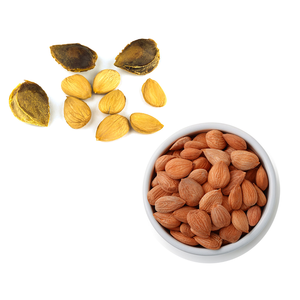 Grano de albaricoque | Utilizado en fórmulas naturales curativas y de belleza - Product Image 5