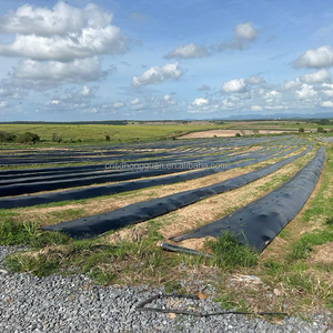 Vườn cảnh quan làm cỏ vải PP vải che phủ mặt đất màu đen <span class=keywords><strong>Weed</strong></span> rào cản màng cỏ bảo vệ thảm kiểm soát vải - Product Image 2