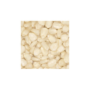 Maíz blanco no OGM de alta calidad a granel, maíz de la mejor calidad al por mayor - Product Image 4
