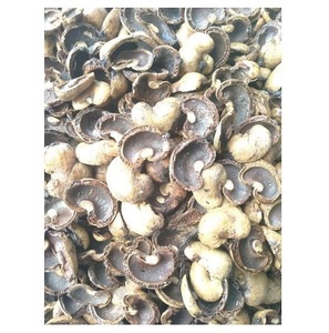 Coquilles de noix de cajou crues de haute qualité pour l'exportation et la vente en gros - Product Image 3